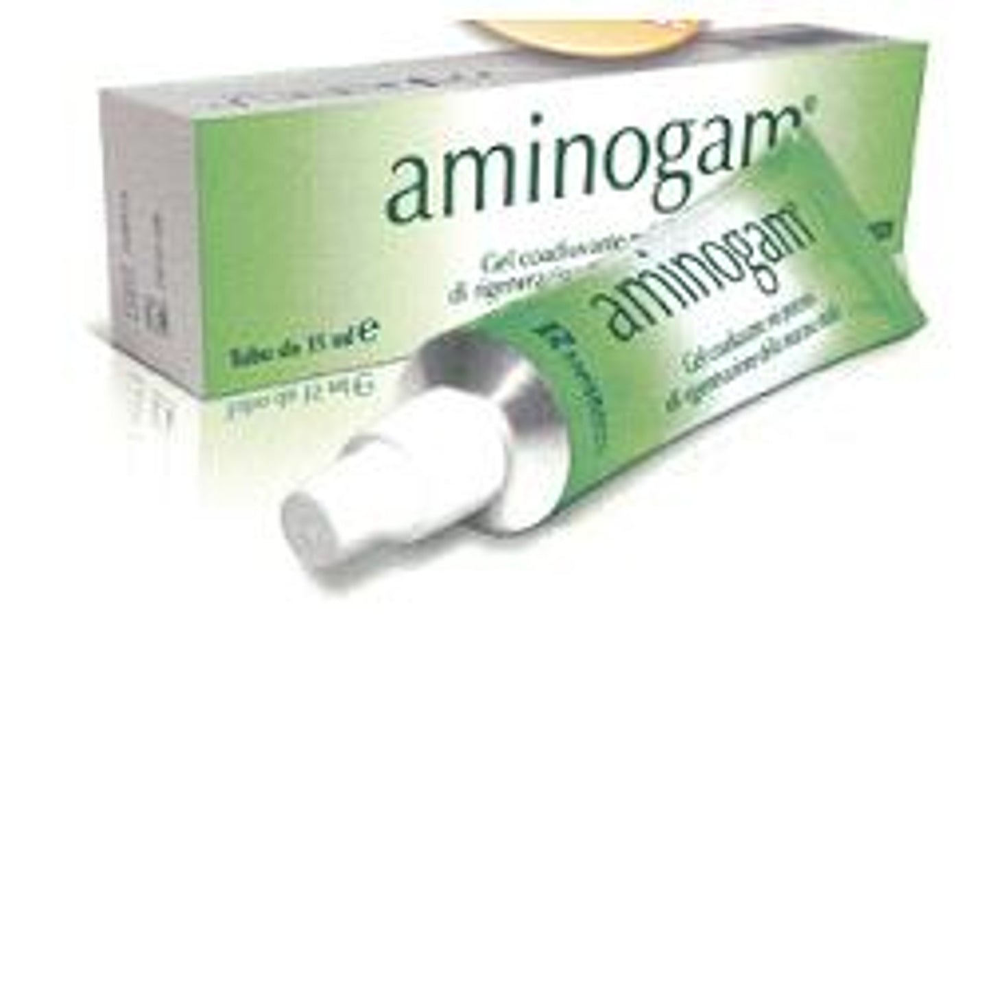 Nel Coadiuvante Aminogam Per Riparazione Tessuti Orogengivali 15 Ml