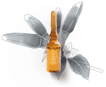 SCIENCE LOZIONE PREVENZIONE CADUTA CON ADENOSINE 4 FIALE 5 ML