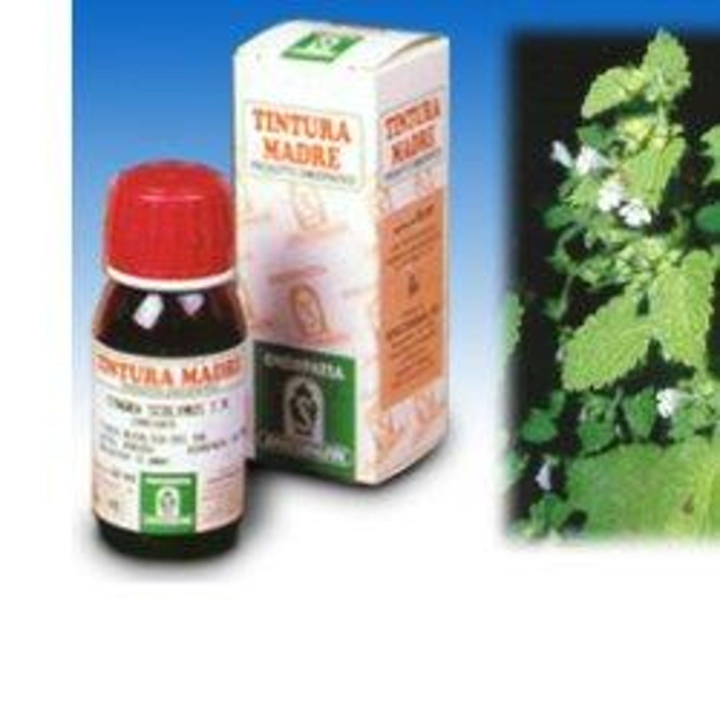 Melissa 17 50Ml Tm