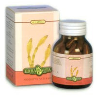 Garlic 60 Capsules 500 mg