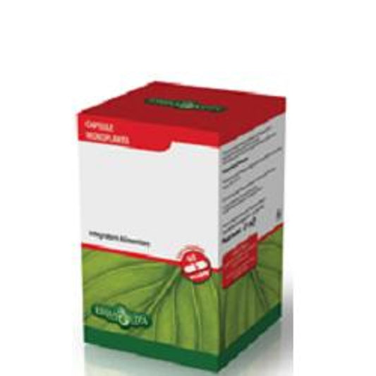 Boswellia Serrata 60 Capsule 400 Mg