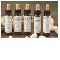 Ainsworths Agrimony 10ml