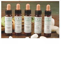 Ainsworths Centaury 10Ml