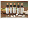 Ainsworths Recov Remedy 10ml