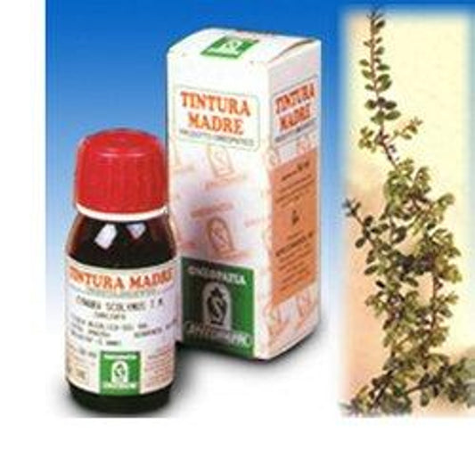 Uva Ursina 30 50Ml Tm