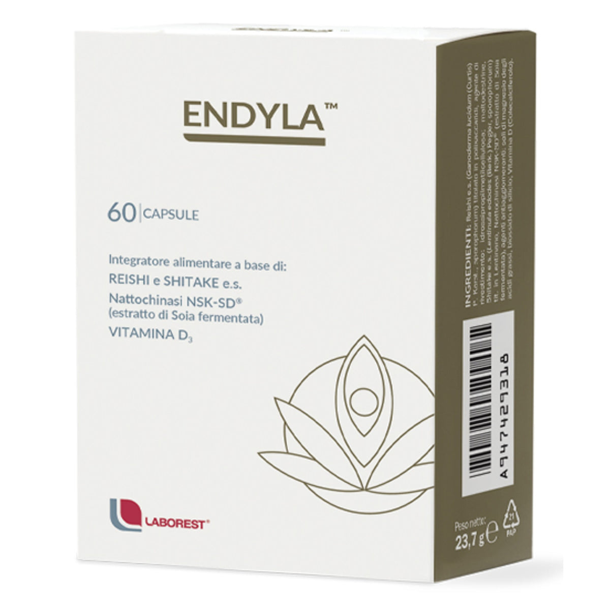 Endyla 60 gélules