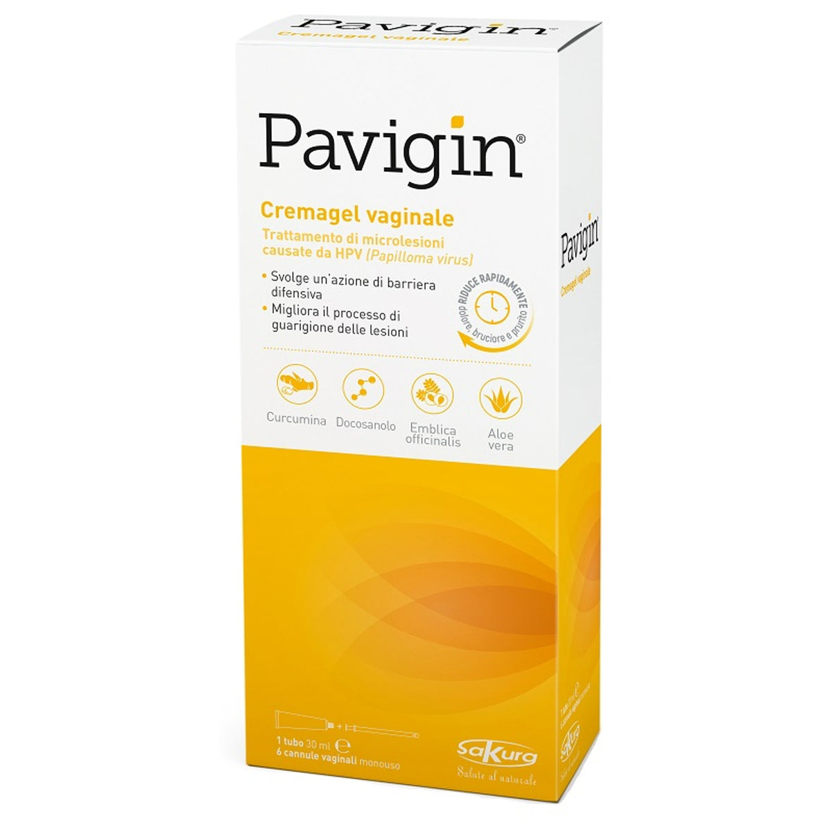 Pavigin Crème Vaginale 30 ml avec 6 Canules Vaginales Jetables